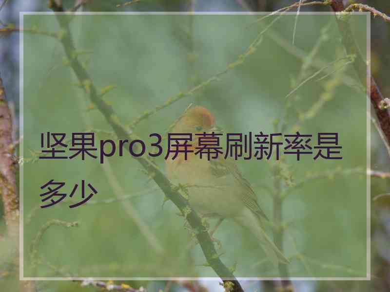 坚果pro3屏幕刷新率是多少