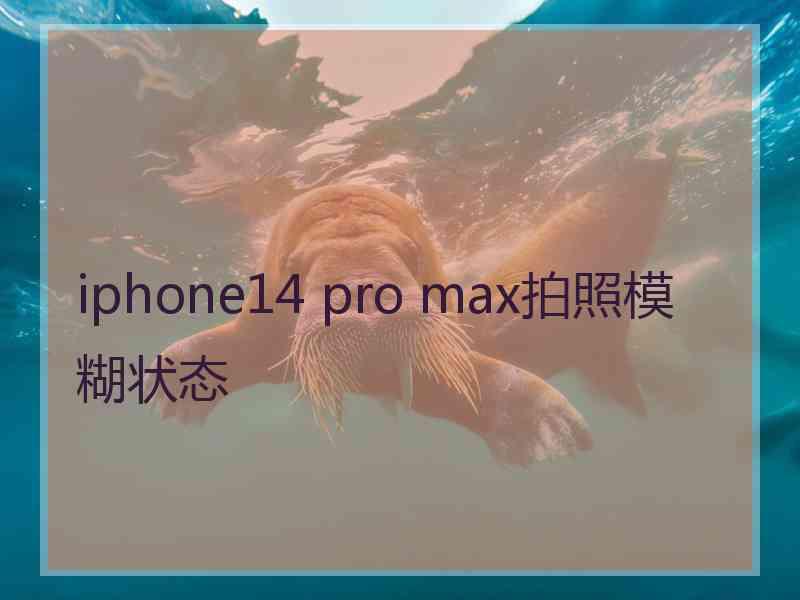 iphone14 pro max拍照模糊状态