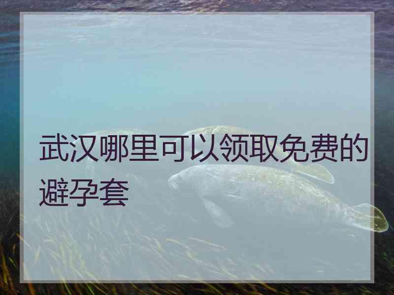 武汉哪里可以领取免费的避孕套