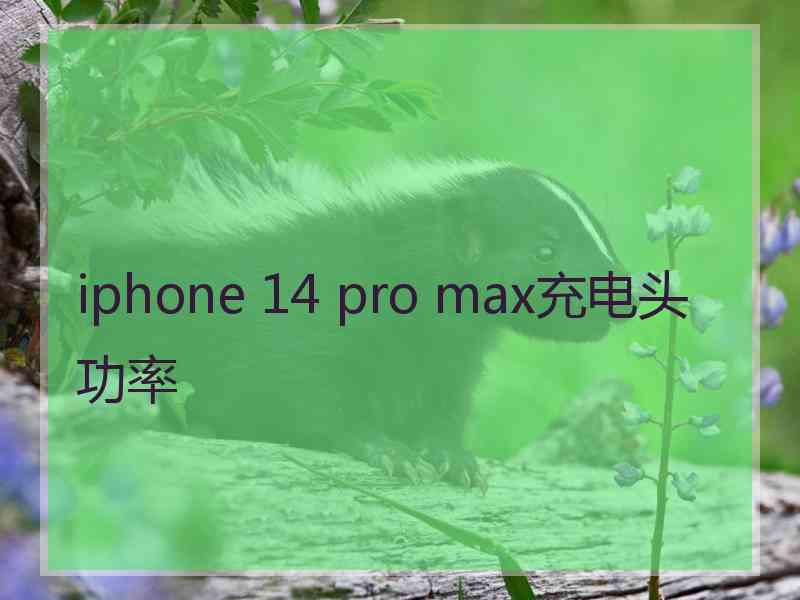 iphone 14 pro max充电头功率