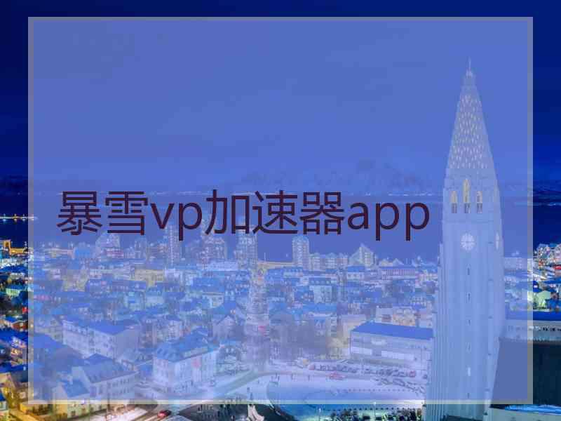 暴雪vp加速器app