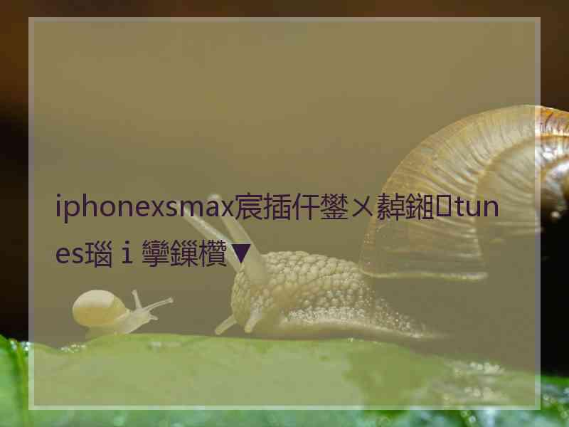 iphonexsmax宸插仠鐢ㄨ繛鎺tunes瑙ｉ攣鏁欑▼