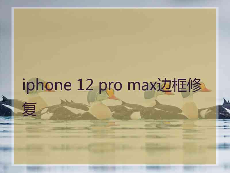 iphone 12 pro max边框修复