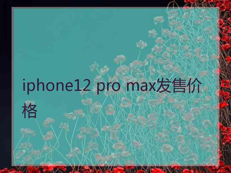 iphone12 pro max发售价格