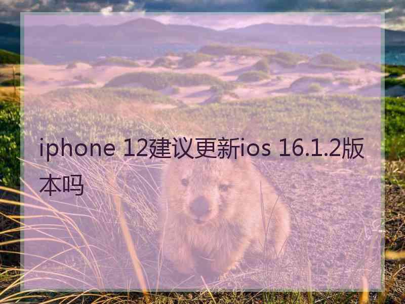 iphone 12建议更新ios 16.1.2版本吗