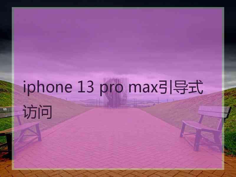 iphone 13 pro max引导式访问