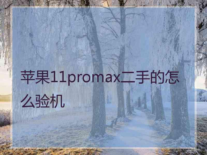 苹果11promax二手的怎么验机