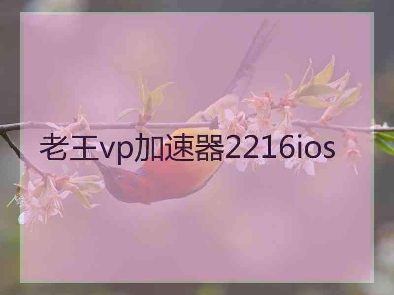 老王vp加速器2216ios