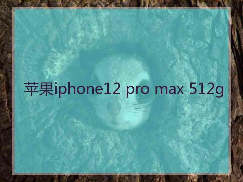 苹果iphone12 pro max 512g