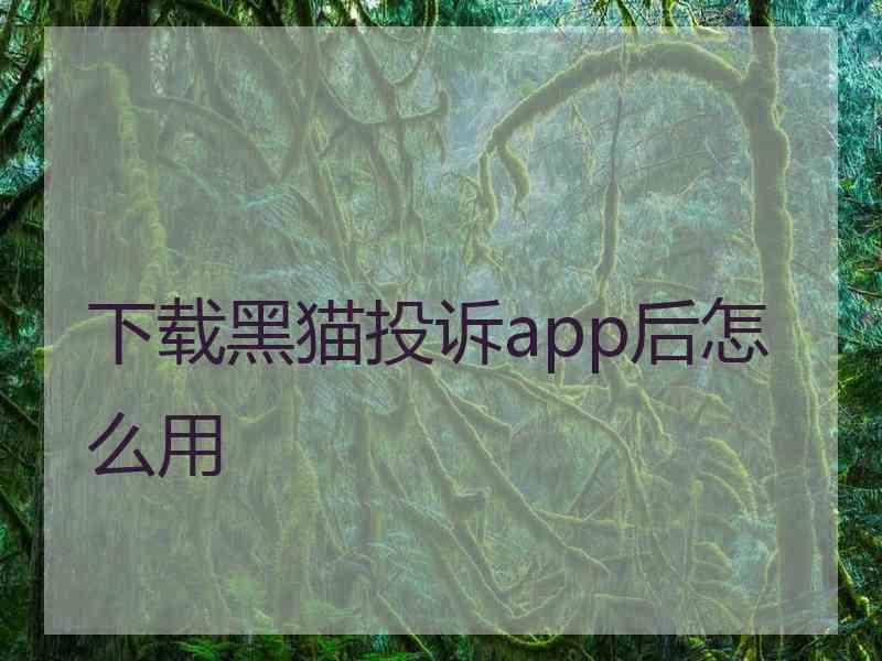 下载黑猫投诉app后怎么用