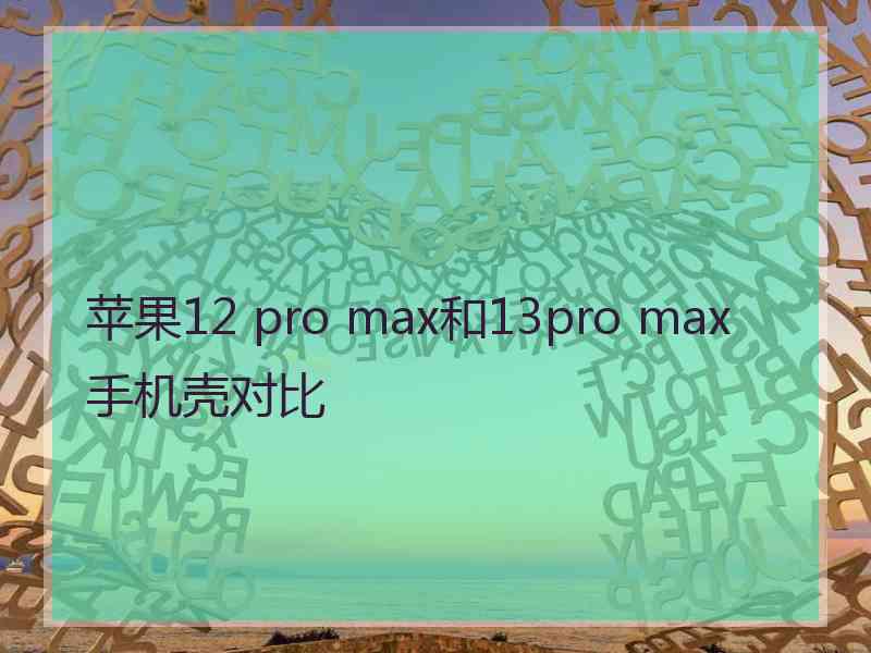 苹果12 pro max和13pro max手机壳对比