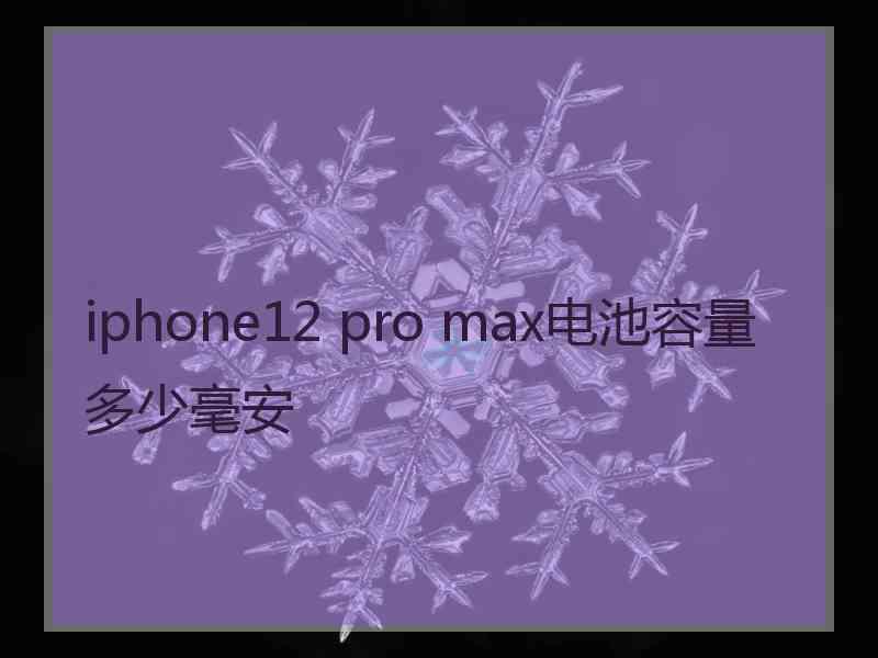 iphone12 pro max电池容量多少毫安