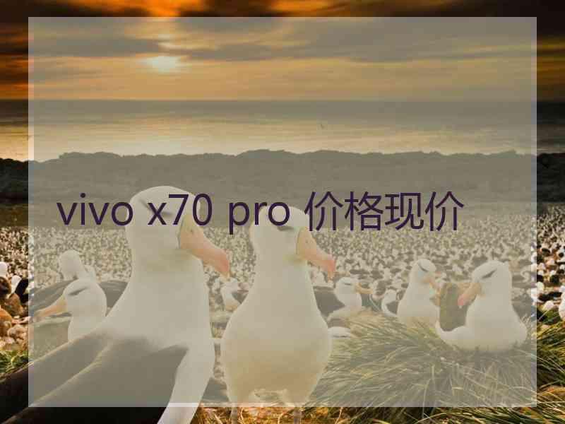 vivo x70 pro 价格现价