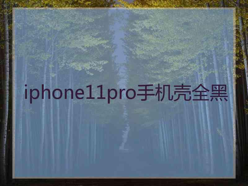 iphone11pro手机壳全黑