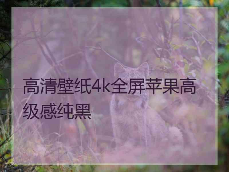 高清壁纸4k全屏苹果高级感纯黑