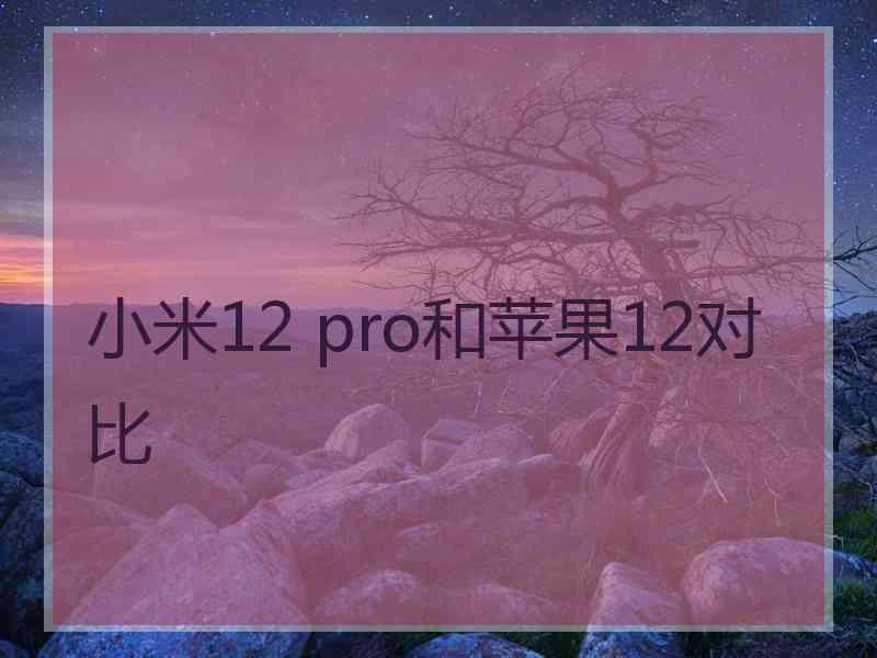 小米12 pro和苹果12对比