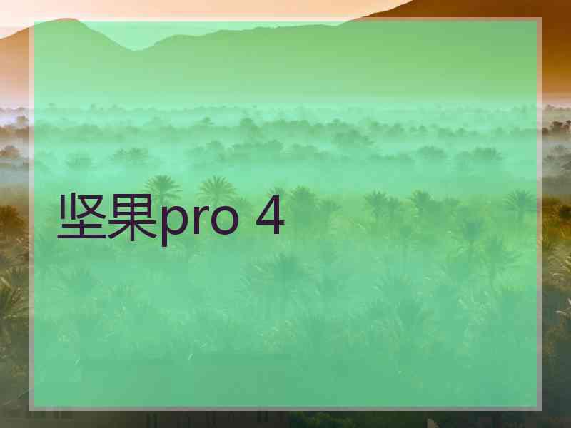 坚果pro 4