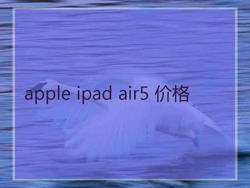 apple ipad air5 价格