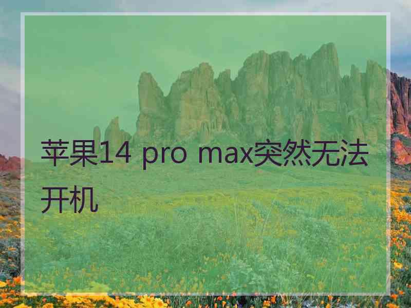 苹果14 pro max突然无法开机