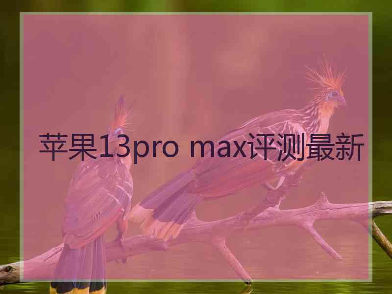 苹果13pro max评测最新