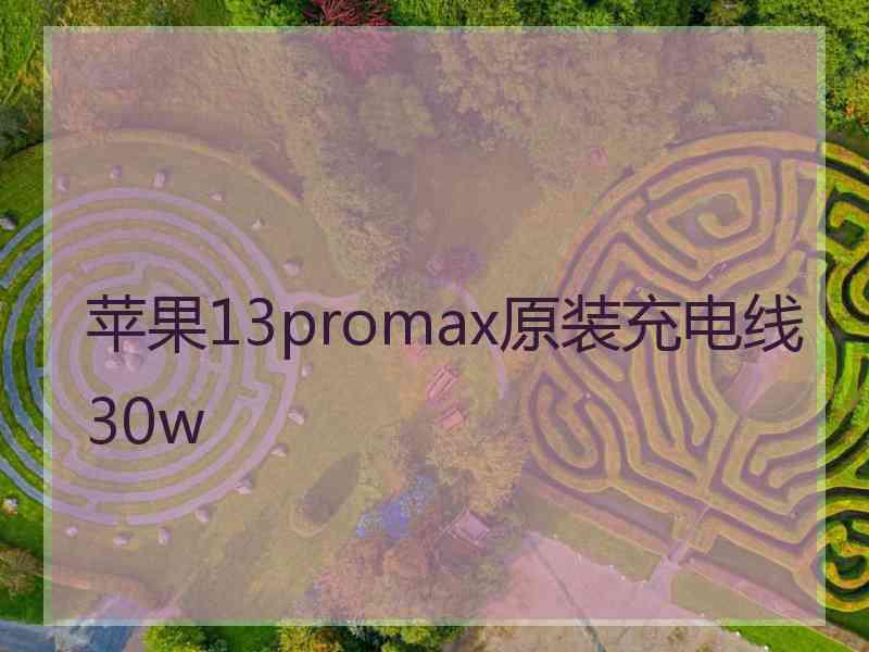 苹果13promax原装充电线30w