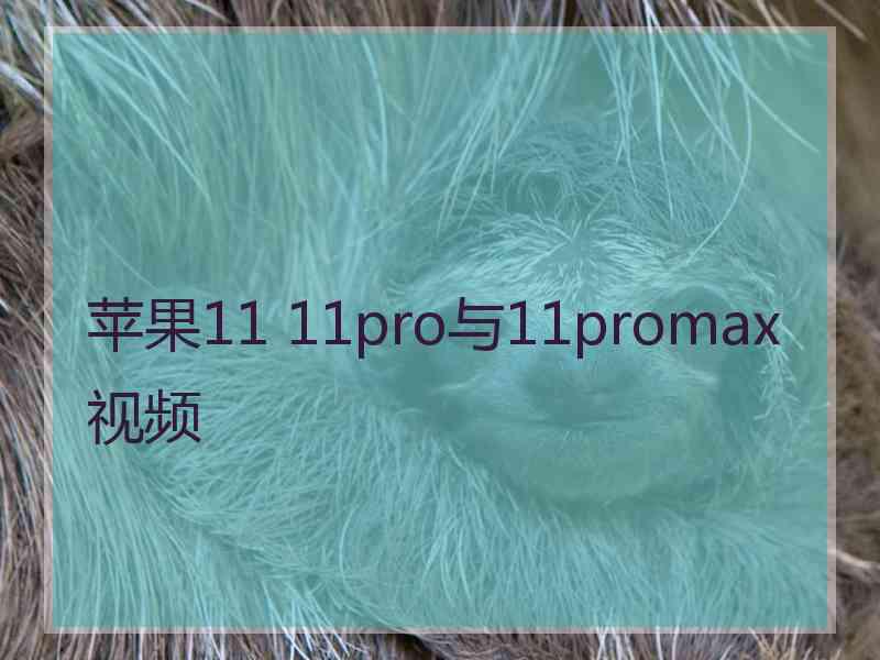 苹果11 11pro与11promax视频