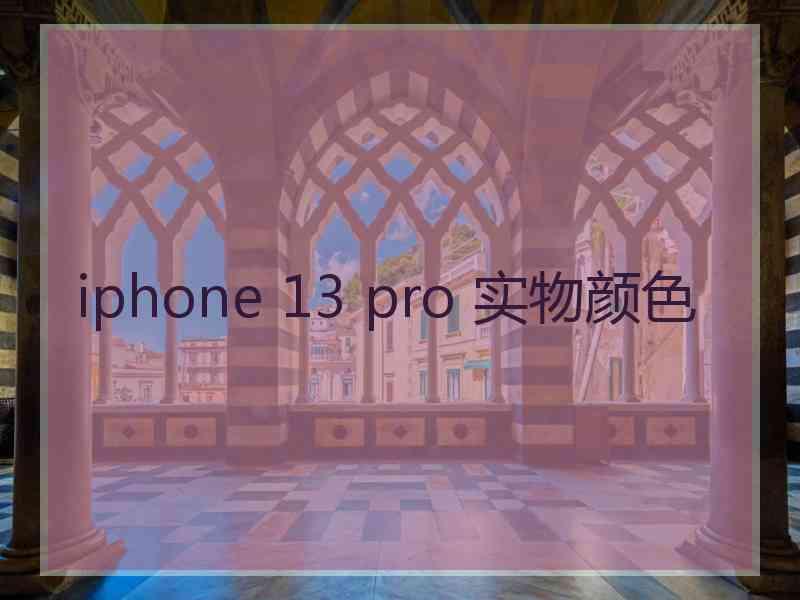 iphone 13 pro 实物颜色