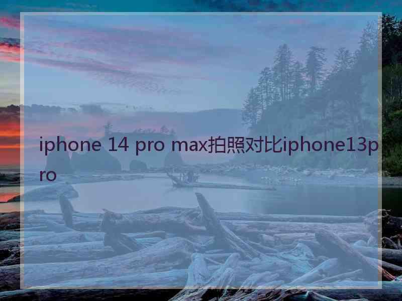 iphone 14 pro max拍照对比iphone13pro