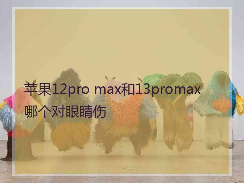 苹果12pro max和13promax哪个对眼睛伤