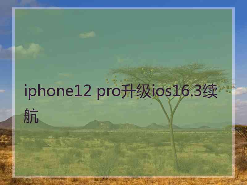 iphone12 pro升级ios16.3续航