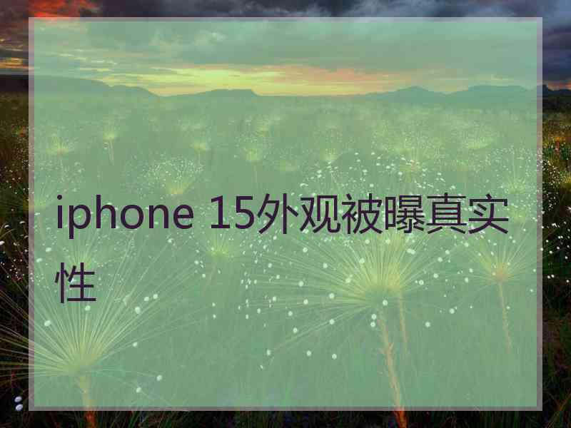 iphone 15外观被曝真实性