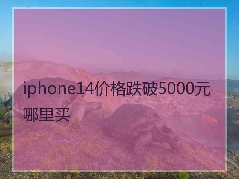 iphone14价格跌破5000元哪里买