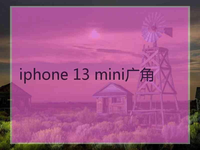 iphone 13 mini广角