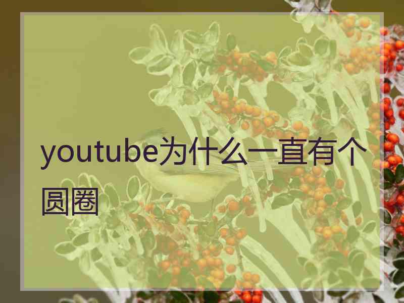 youtube为什么一直有个圆圈