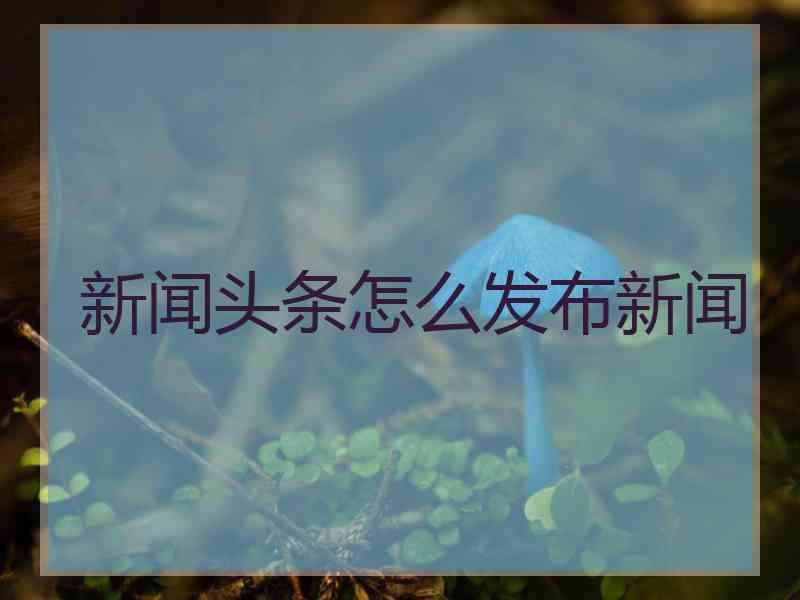 新闻头条怎么发布新闻