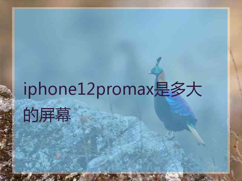 iphone12promax是多大的屏幕