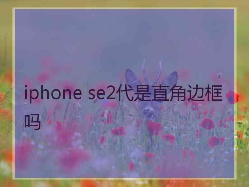 iphone se2代是直角边框吗