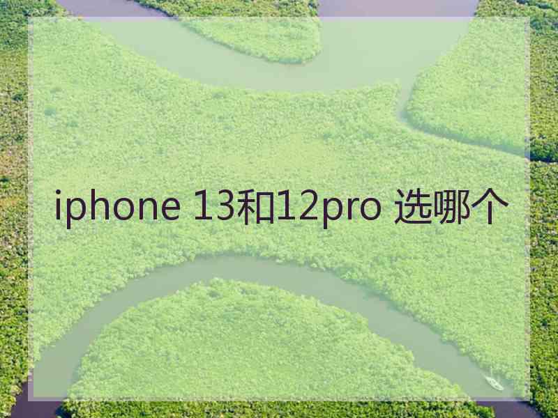 iphone 13和12pro 选哪个