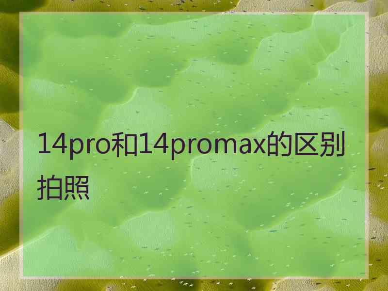 14pro和14promax的区别拍照