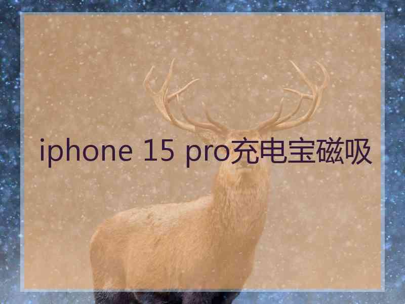 iphone 15 pro充电宝磁吸