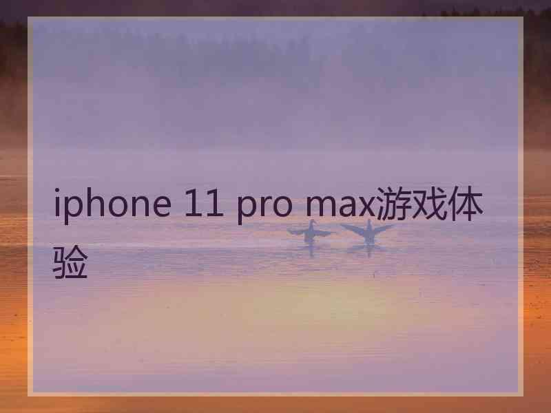 iphone 11 pro max游戏体验