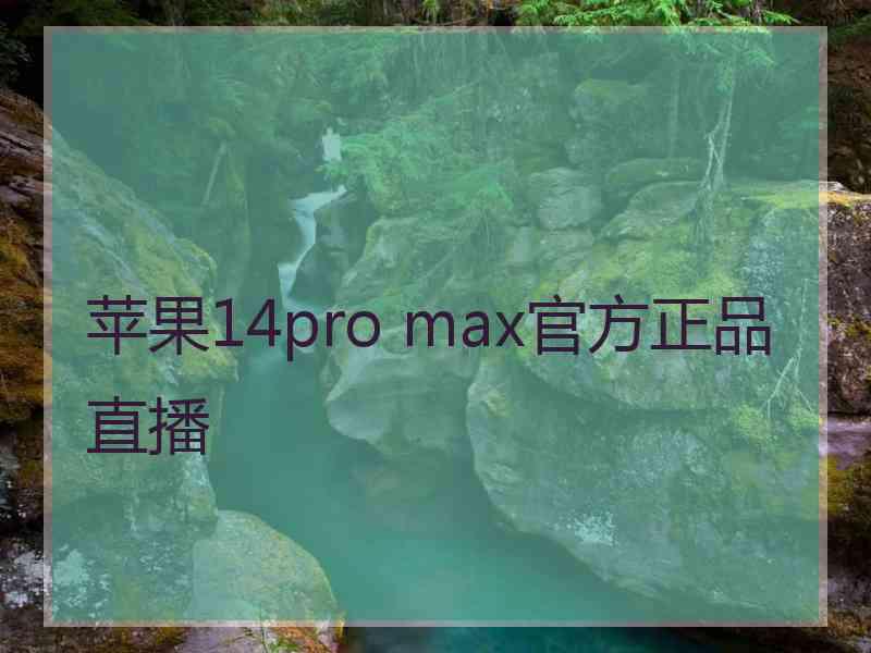 苹果14pro max官方正品直播