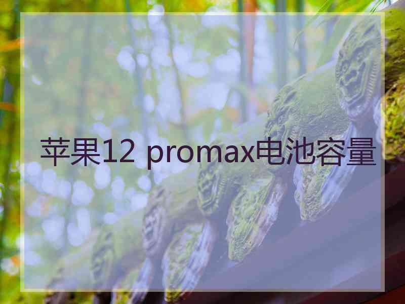 苹果12 promax电池容量