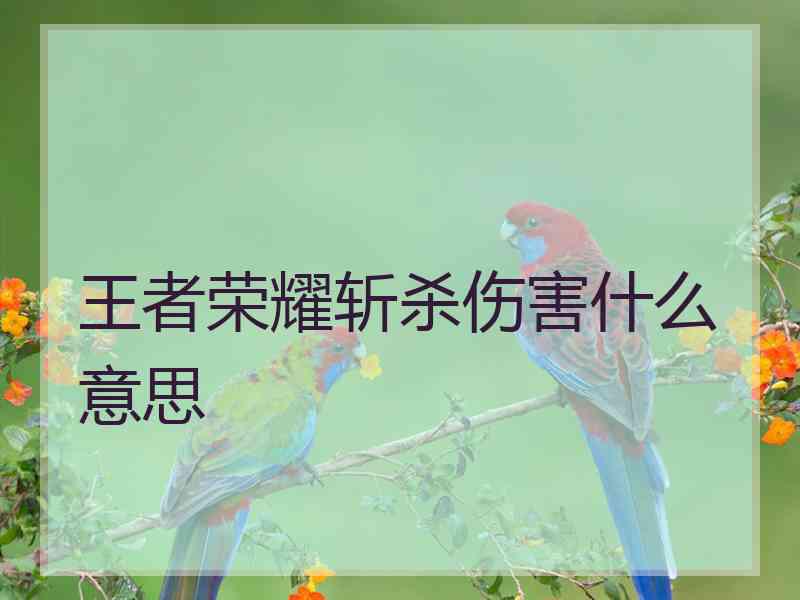 王者荣耀斩杀伤害什么意思