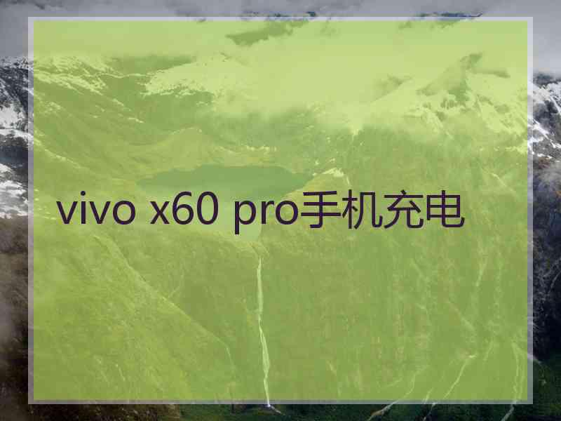 vivo x60 pro手机充电