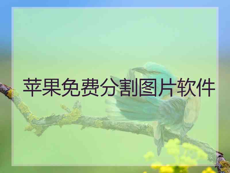 苹果免费分割图片软件