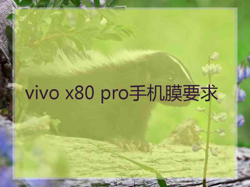 vivo x80 pro手机膜要求