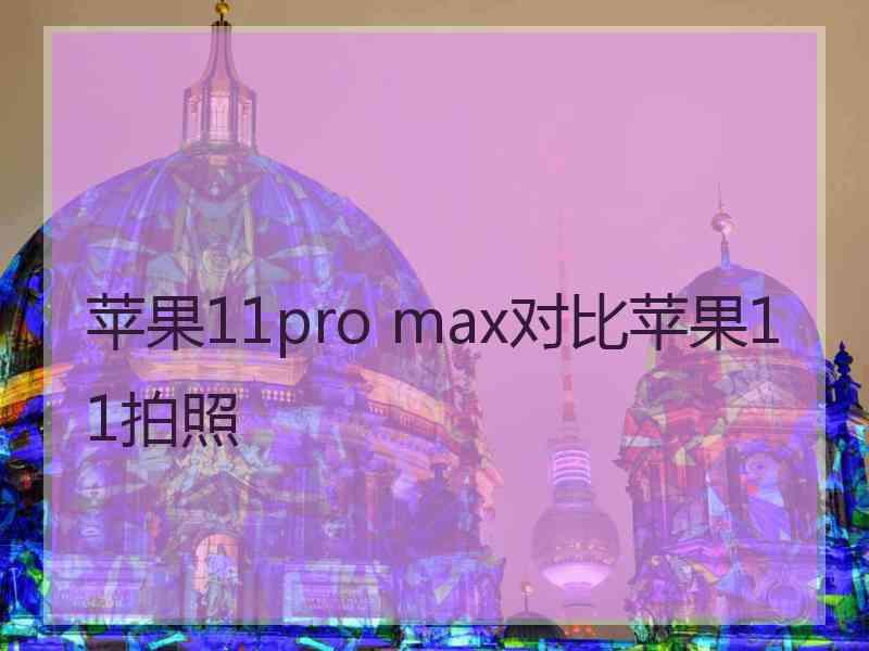 苹果11pro max对比苹果11拍照