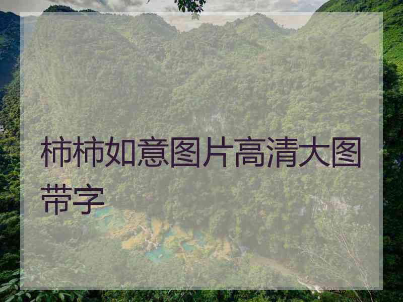 柿柿如意图片高清大图带字