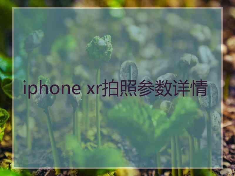 iphone xr拍照参数详情